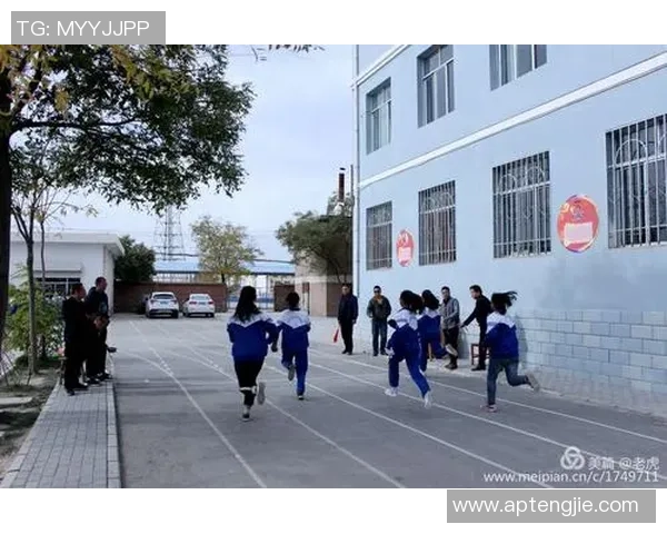 李强独家分享排球心得与技巧提升之道助你成为排球高手